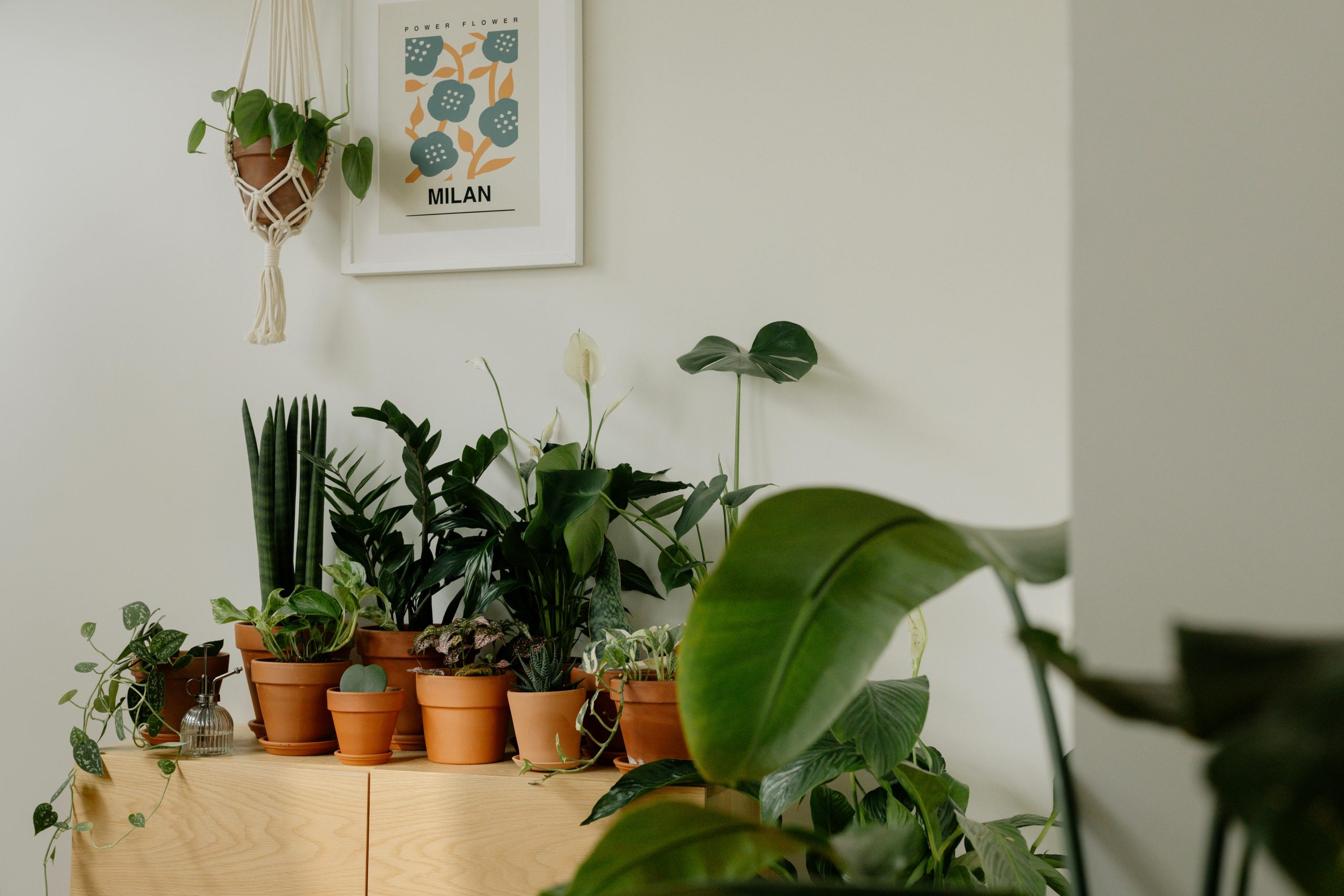 djustable flower pot holder