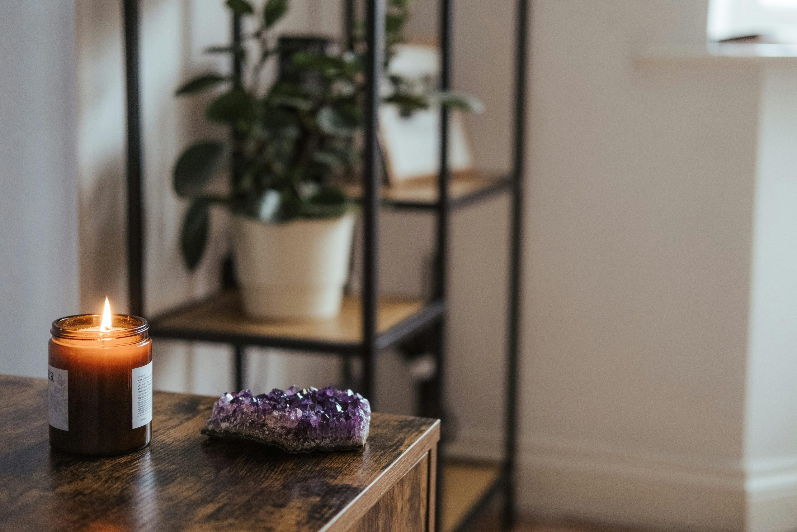 Make your plants come alive