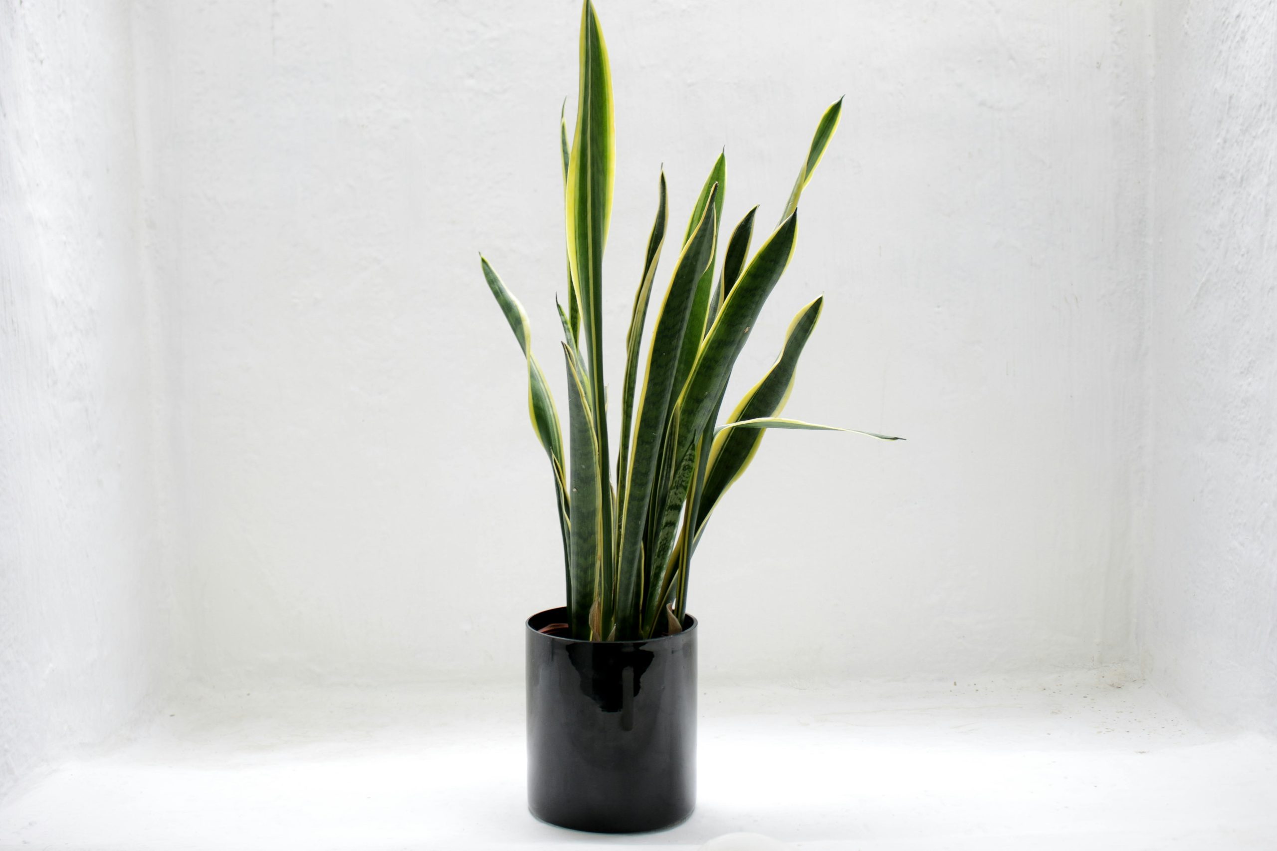 Add a sense of hierarchy to your interior