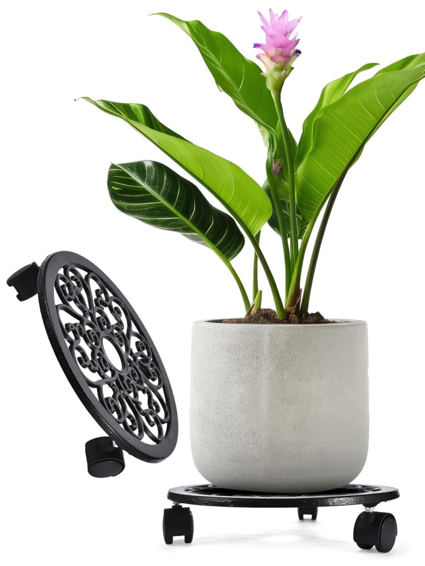 Plant Stand with Wheels - Heavy-Duty Rolling Plant Caddy - Dolly Base with Roller for Large Potted Plants and Flower Pot - Ideal for Indoor and Outdoor Planters - Set of 1 - Black